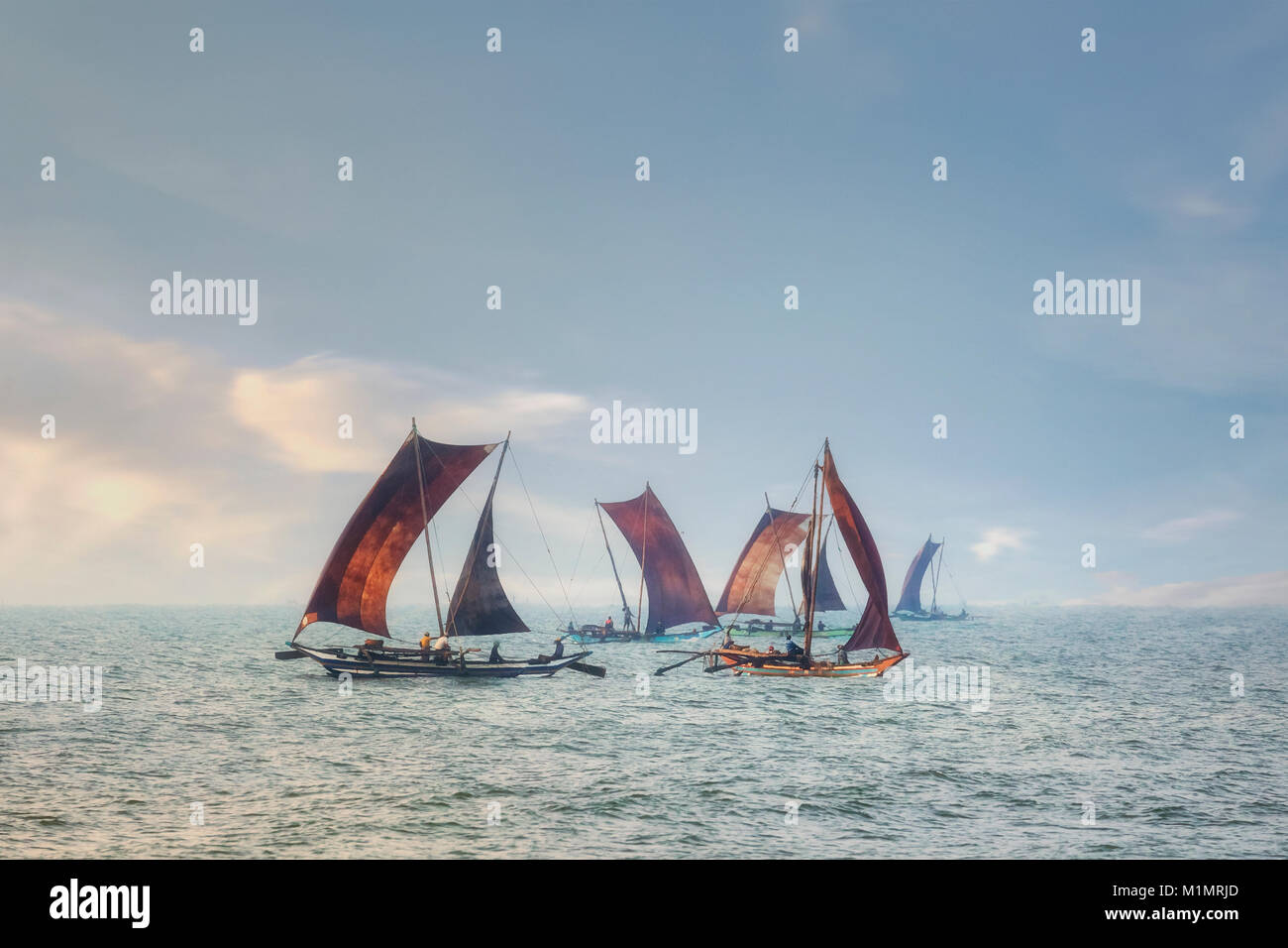 Negombo Beach, Oruwa, Colombo, Western Province, Sri Lanka, Asia Stock Photo