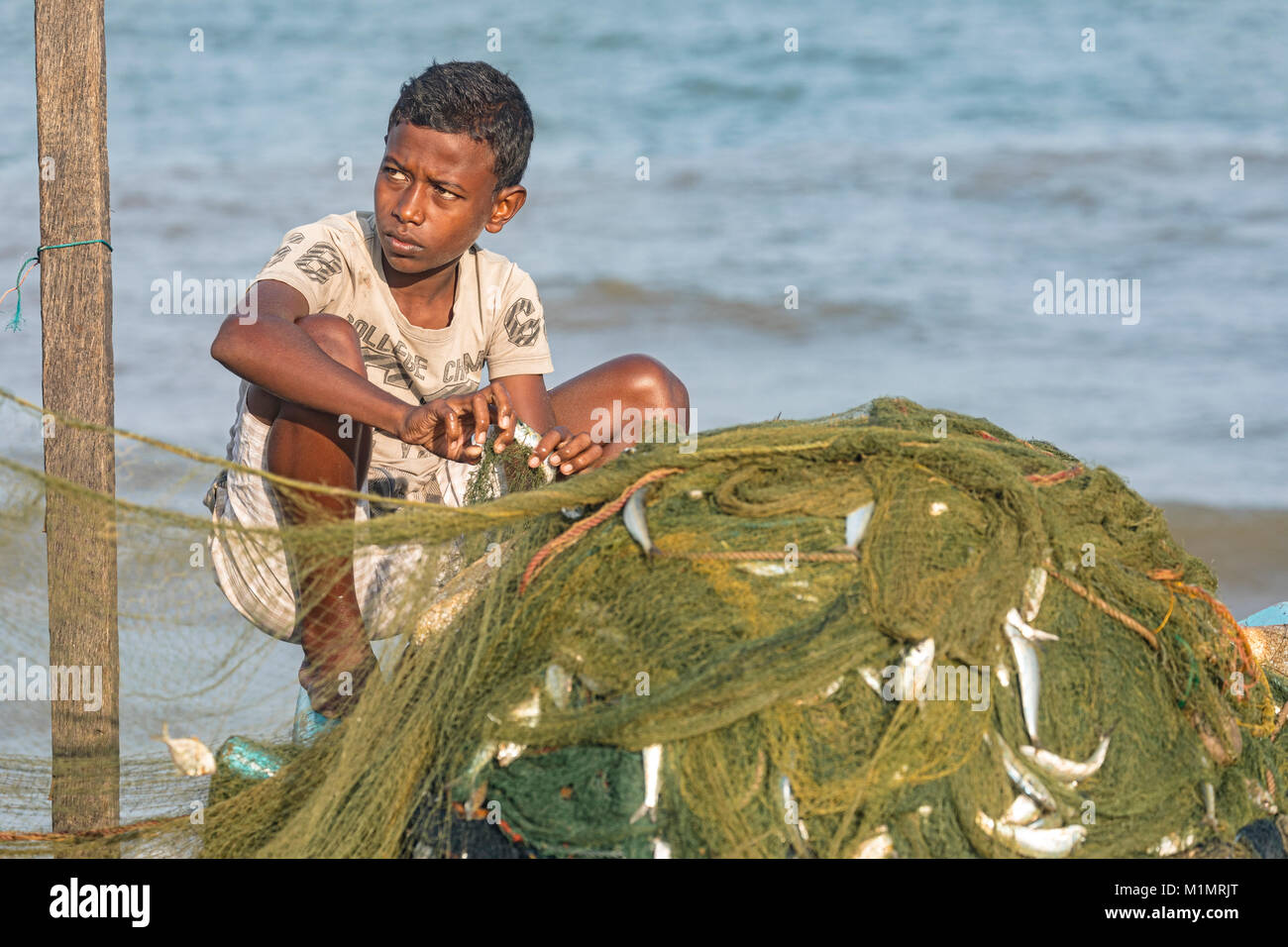 local life in working harbour in Negombo, Colombo, Western Province, Sri Lanka, Asia Stock Photo