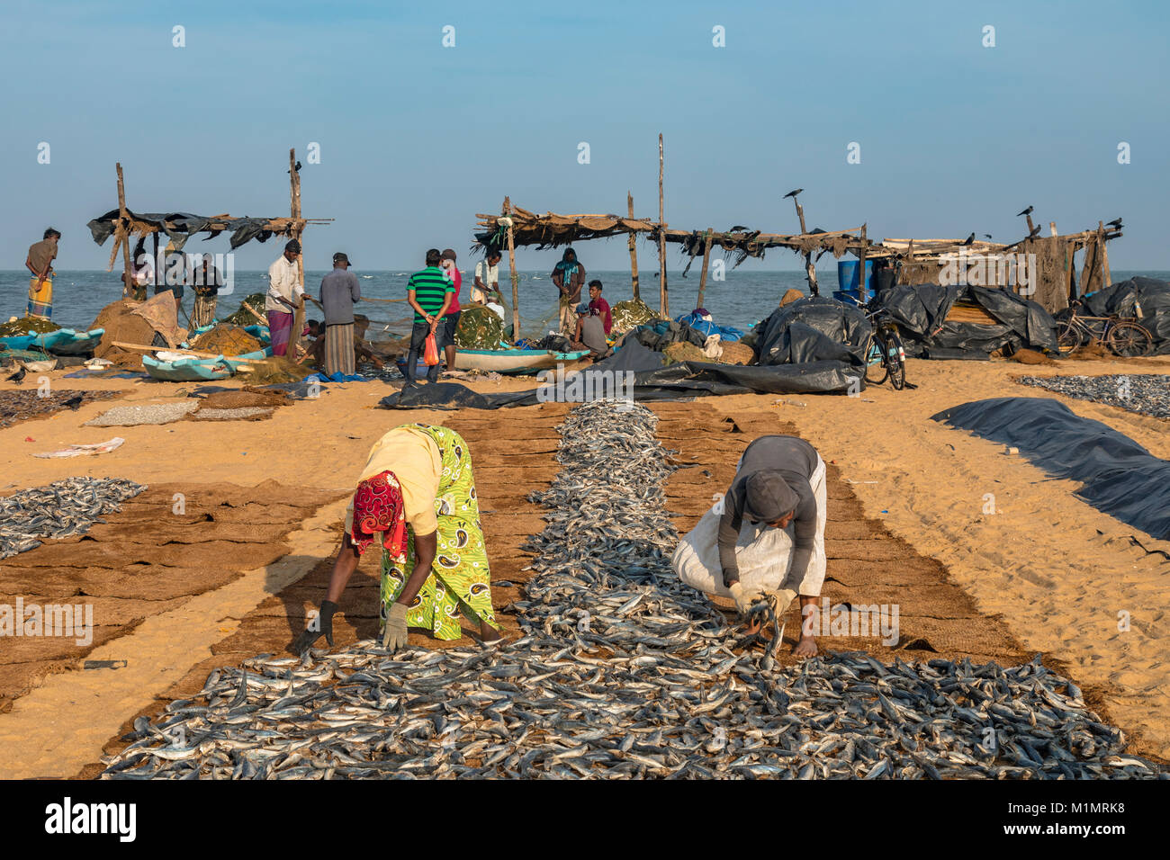 local life in working harbour in Negombo, Colombo, Western Province, Sri Lanka, Asia Stock Photo