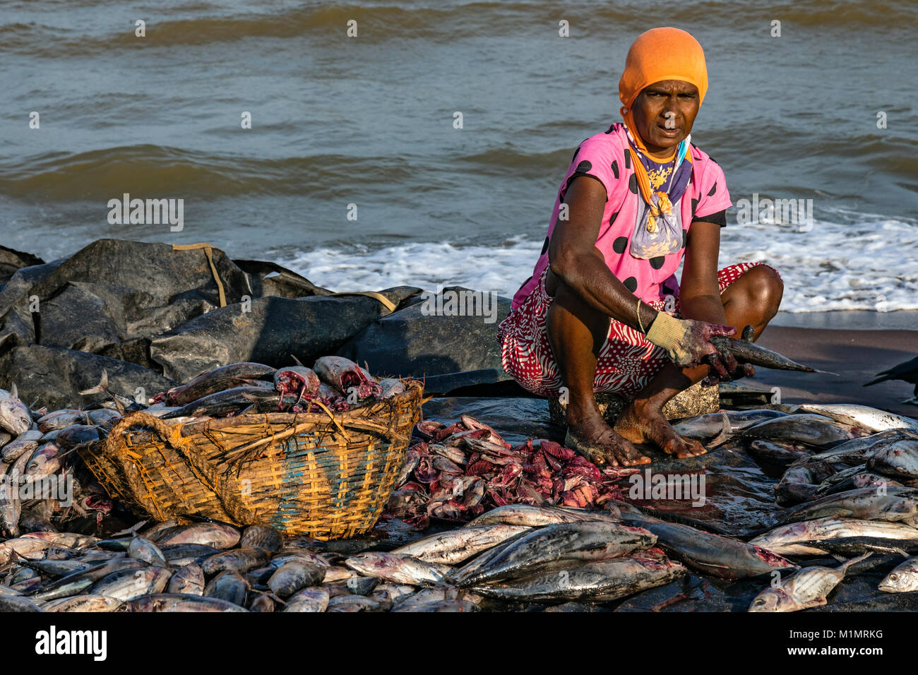 local life in working harbour in Negombo, Colombo, Western Province, Sri Lanka, Asia Stock Photo