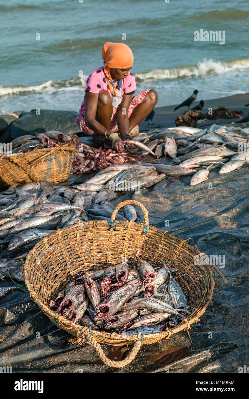 local life in working harbour in Negombo, Colombo, Western Province, Sri Lanka, Asia Stock Photo