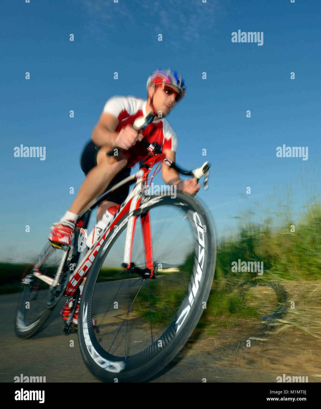 Professional road bicycle racer, , Radrennfahrer, professionelles ...