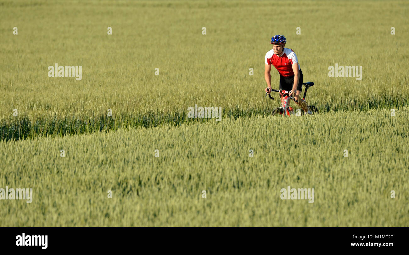 Cyclist, professional racing bike, barley field, , Radrennfahrer ...