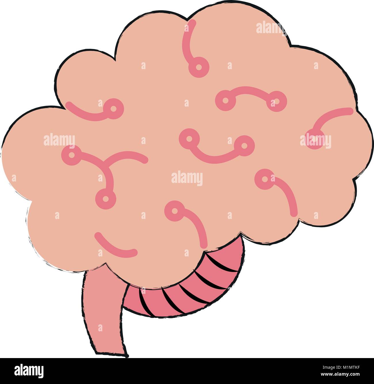 Human brain isolated Stock Vector Image & Art - Alamy