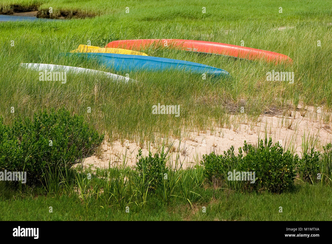 Canoe's lie at the ready in a marsh at Rock Harbor, Orleans, Massachusetts, on Cape Cod, USA
