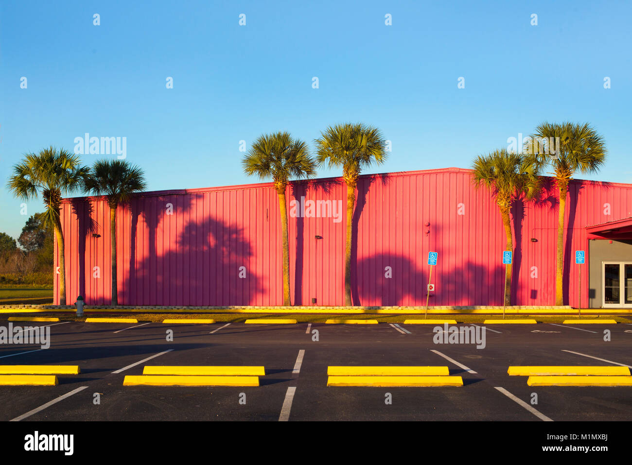 A pink freshlypainted roller skating rink glows in the early morning