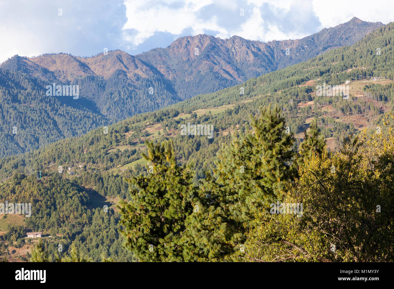 Jakar, Bumthang, Bhutan.  Hillside Terrain. Stock Photo