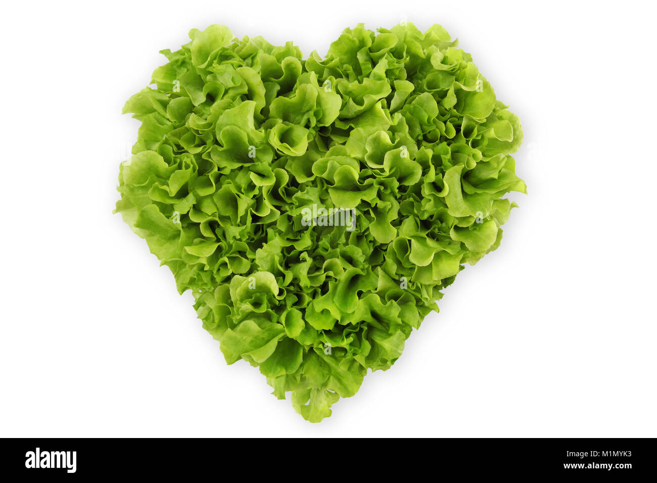 heartshaped salad, lettuce on white background Stock Photo Alamy