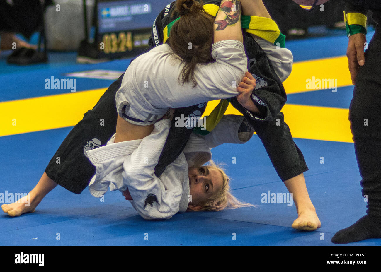 brazilian jiujitsu competition, Nordic Open 2017 Stock Photo Alamy