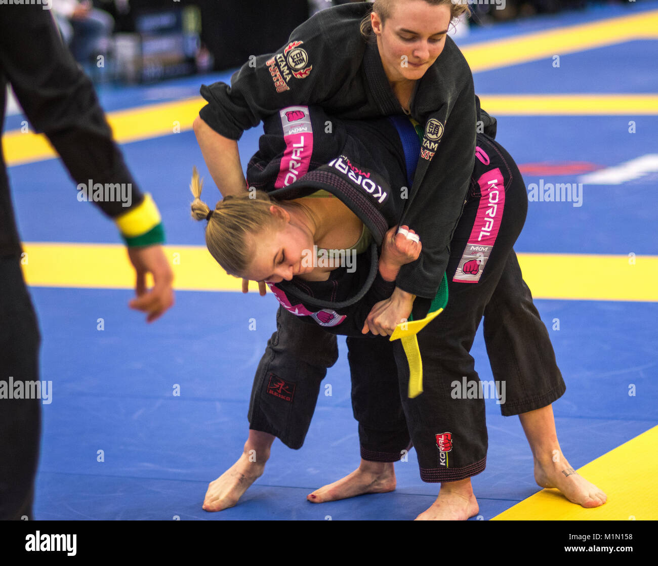 Brazilian jiujitsu competition Nordic open Stock Photo Alamy