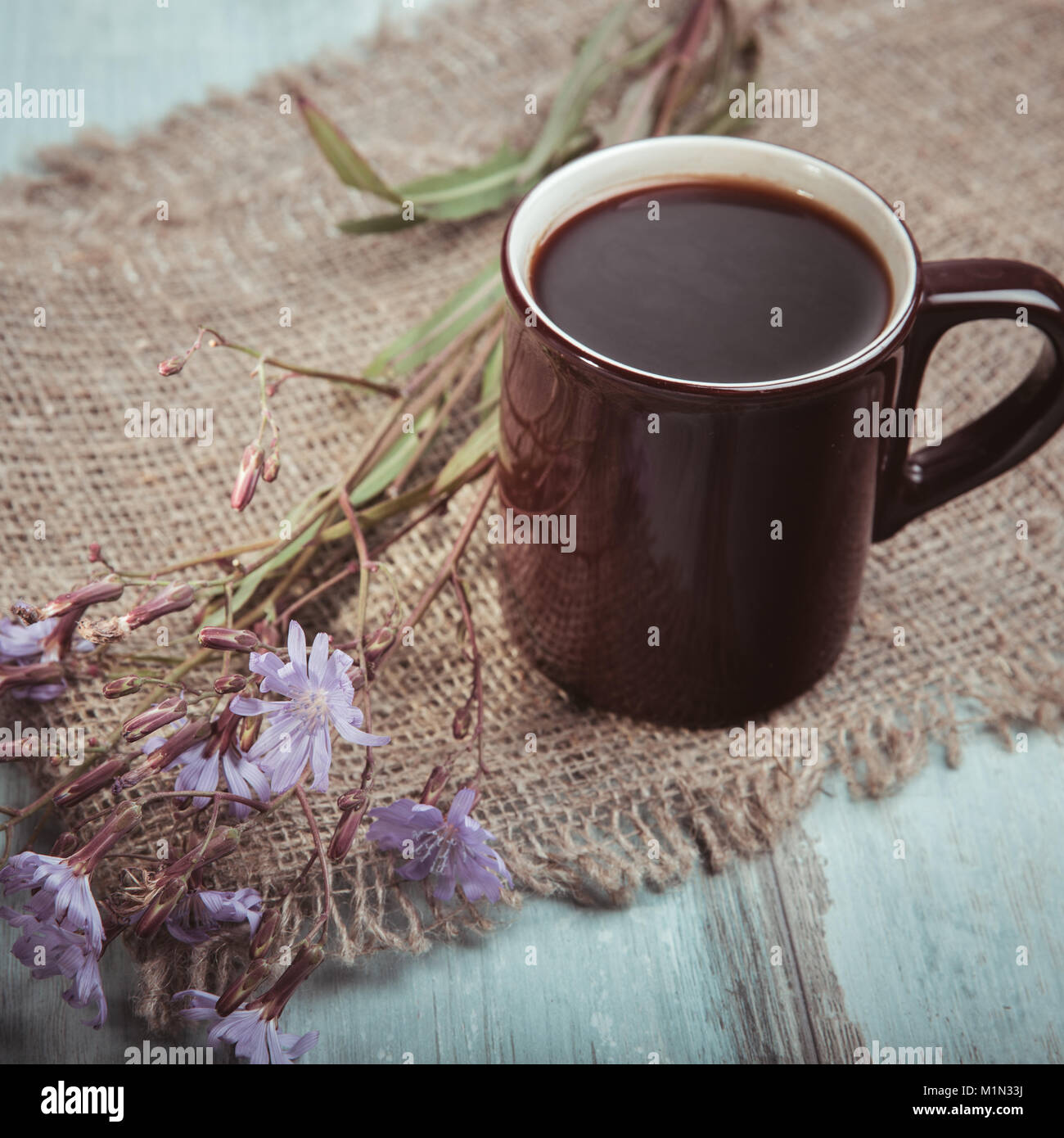 Medicinal plant chicory: flowers. The roots of the plants are used as a substitute for coffee. Drink from chicory in a cup on the old wooden table. Ru Stock Photo