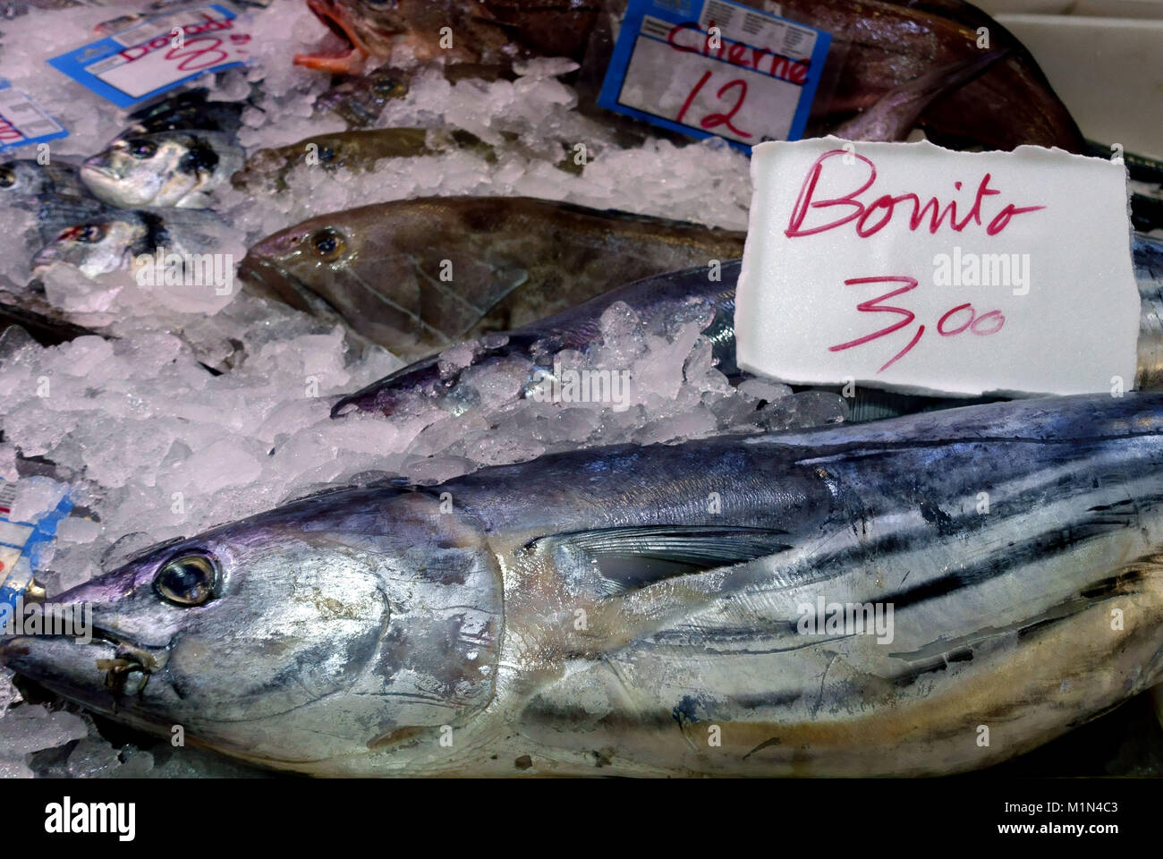 Bonito fish (tuna) on sale in market in Santa Cruz de Tenerife, Canary