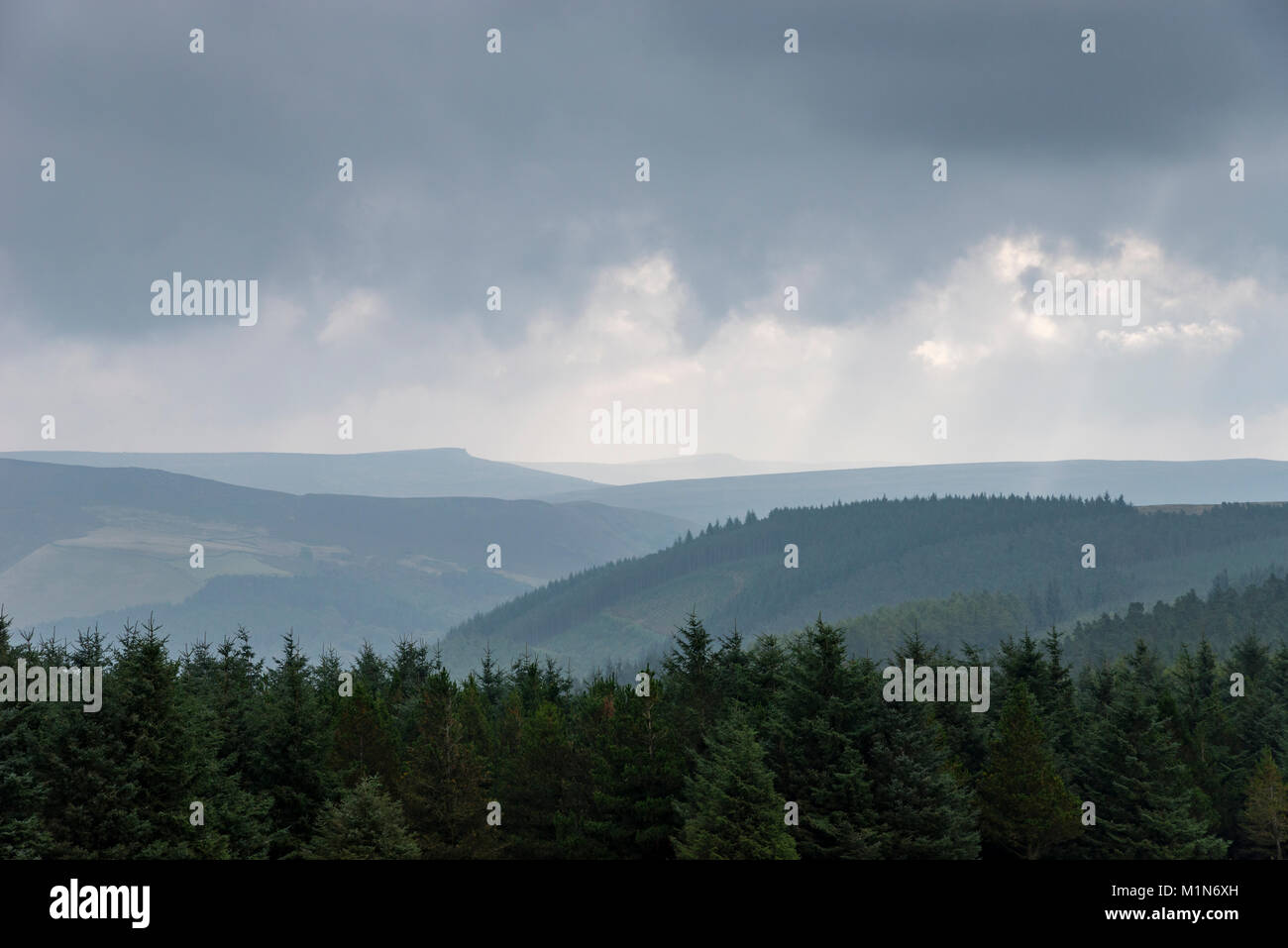 Cloudy day in the hills of the Peak District. View over forest between the Derwent valley and Snake Pass. Stock Photo