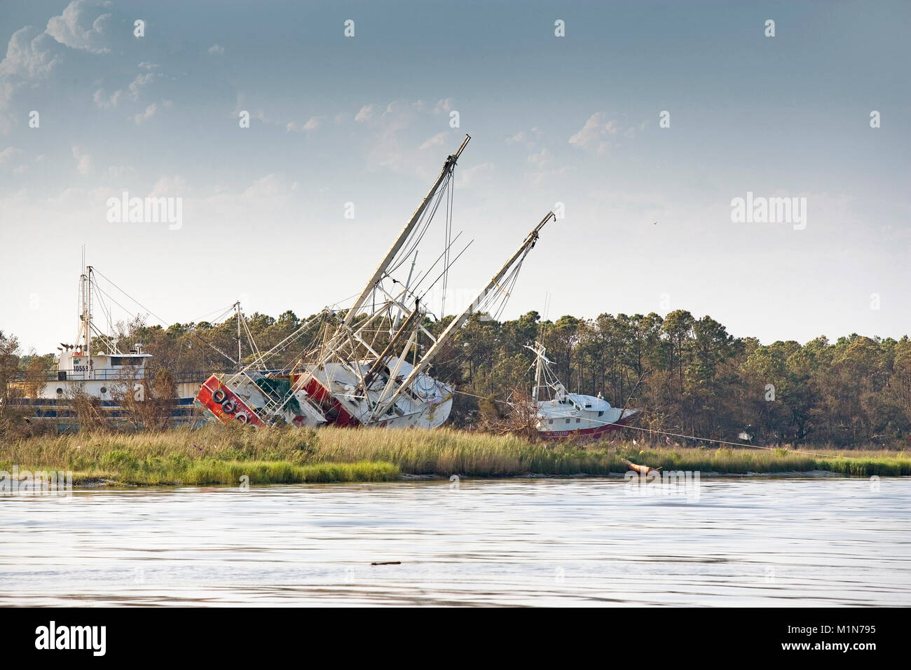 A number of shrimp trawlers, left high into the pines on dry ground by the storm surge at Bayou La Batre, Alabama after hurricane Katrina.  Although H Stock Photo