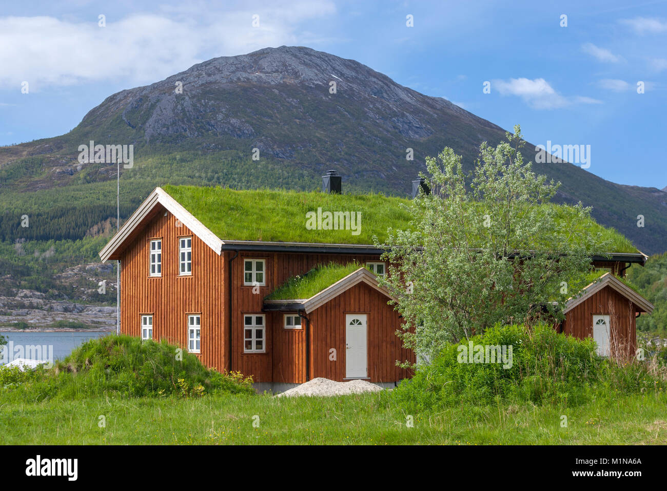 Typical wooden house with grass covered the roof along Norwegian County