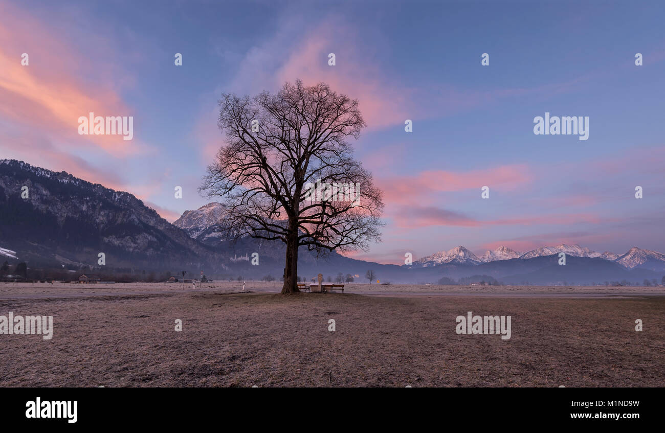 Beautiful bavarian sunrise at St. Coloman church, Germany Stock Photo ...