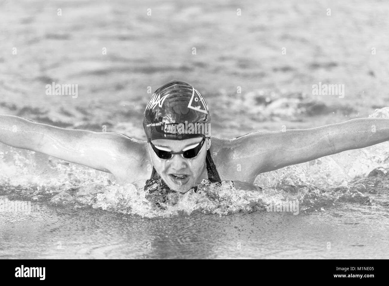 Male swimmer swimming pool Black and White Stock Photos & Images - Alamy