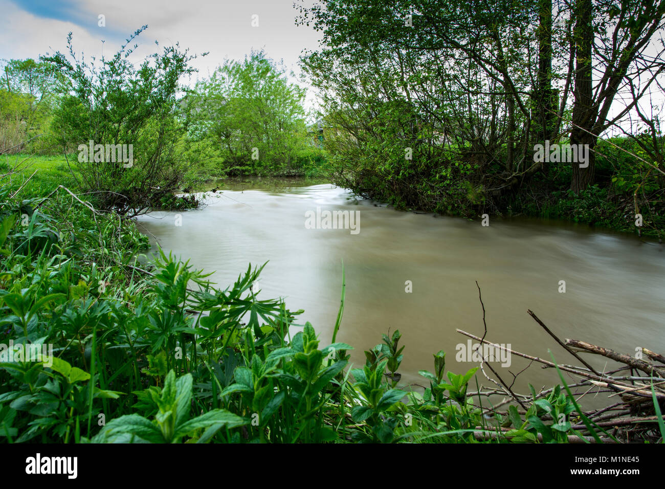 During floods in the Carpathians the rivers can leave the coast and spill over long distances. Stock Photo