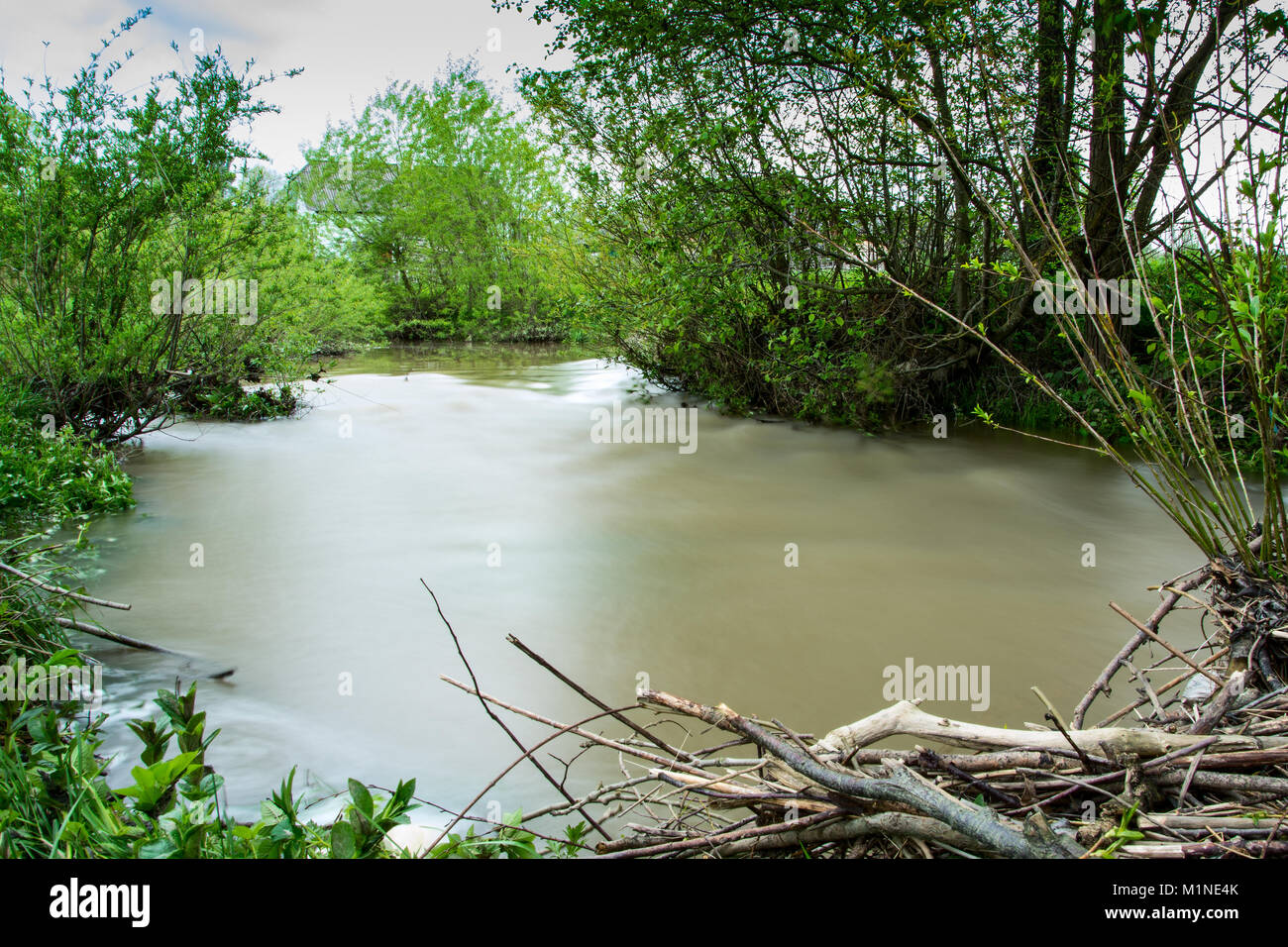 During floods in the Carpathians the rivers can leave the coast and spill over long distances. Stock Photo