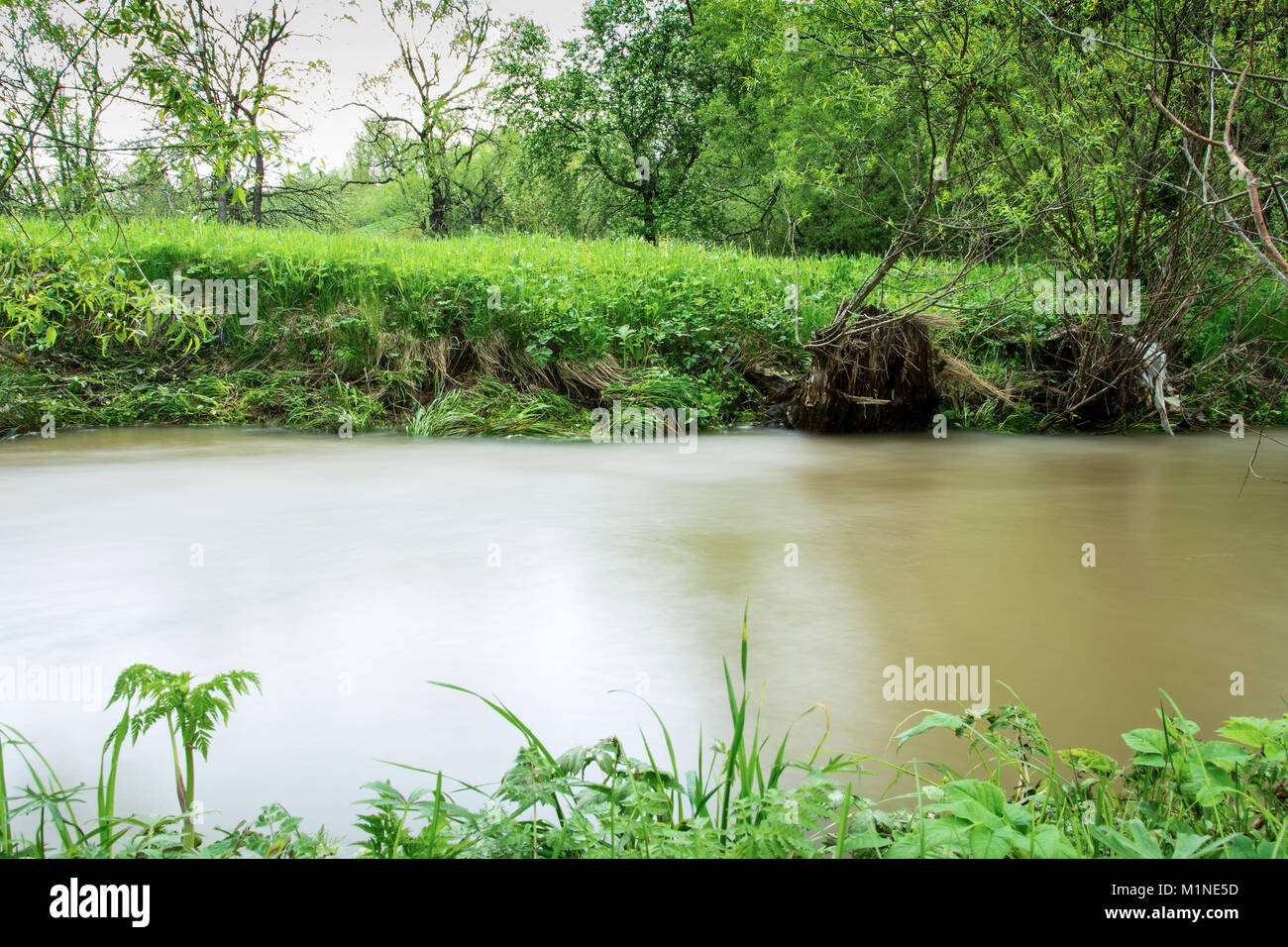 During floods in the Carpathians the rivers can leave the coast and spill over long distances. Stock Photo