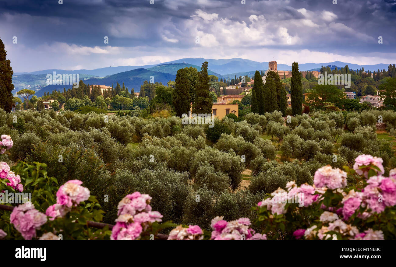 FLORENCE, ITALY - MAY 19, 2017: Beautiful view of the Tuscany fields from the top of the Garden of Knight, inside the Boboli Gardens. Stock Photo