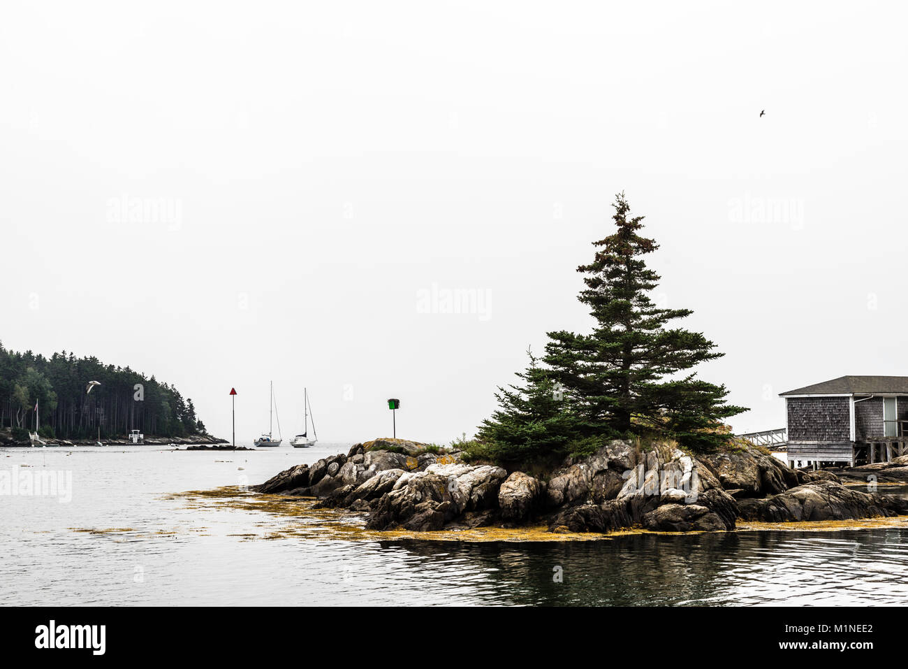 Christmas Cove South Bristol, Maine, USA Stock Photo Alamy