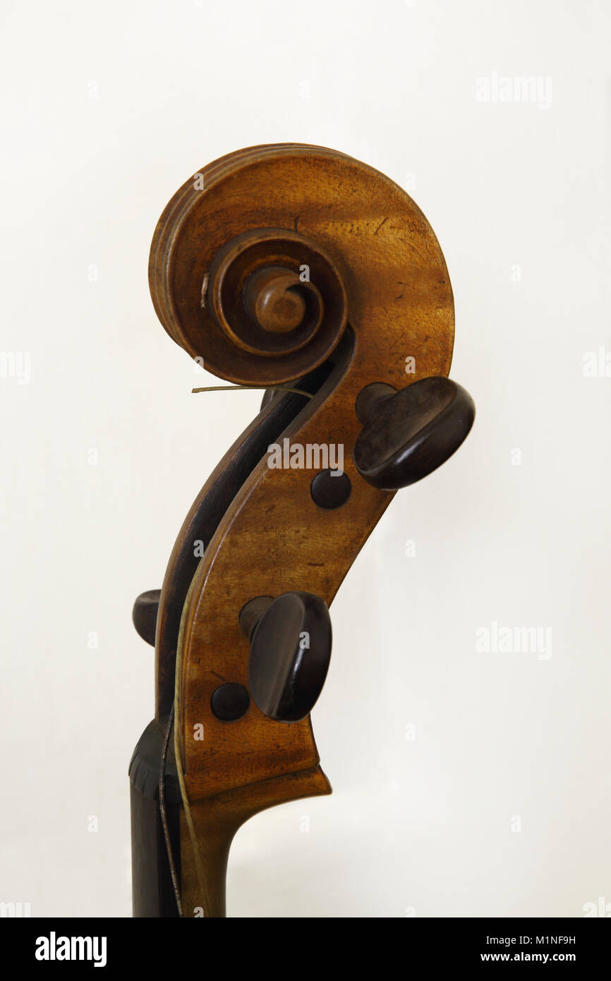 Close Up Of Pegbox And Scroll On Cello Stock Photo Alamy