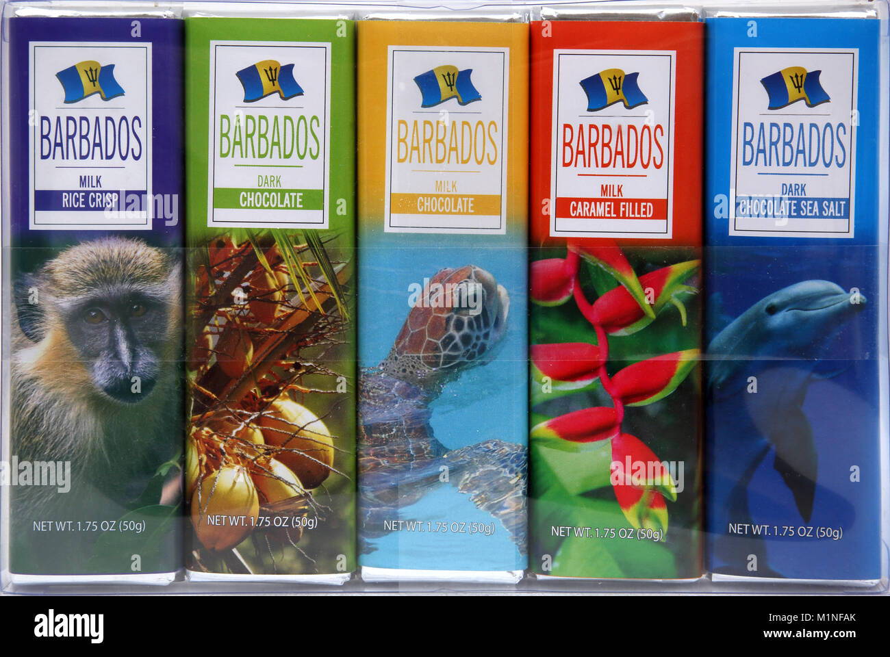 Chocolate Bars from Barbados Stock Photo
