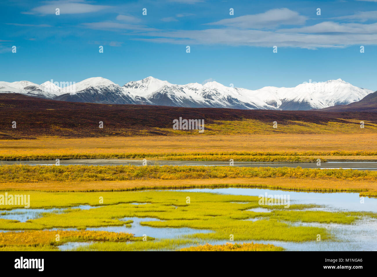 Late autumn colors of the tundra in the Maclaren River Valley with the snow-covered Alaska Range in the background. Stock Photo