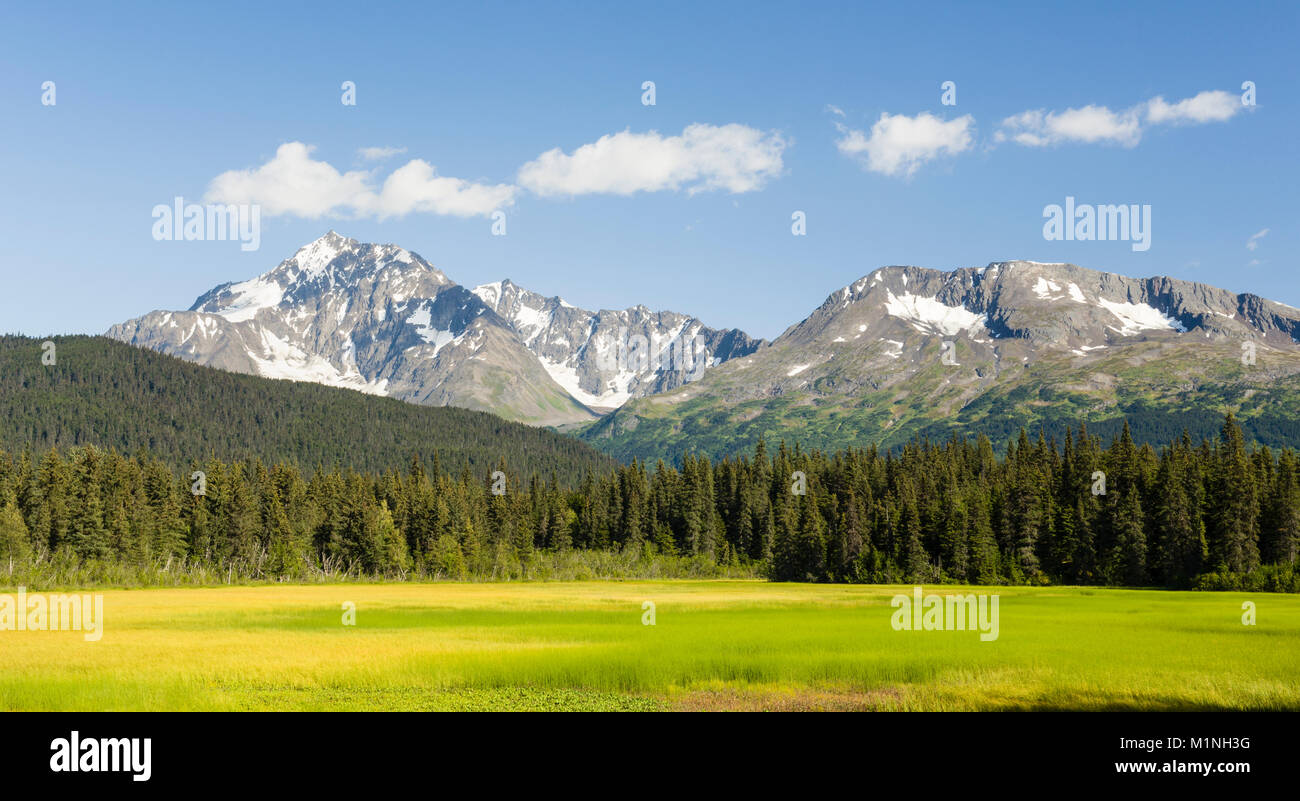 Scenic view of Kenai Mountains and lush marsh of the Snow River