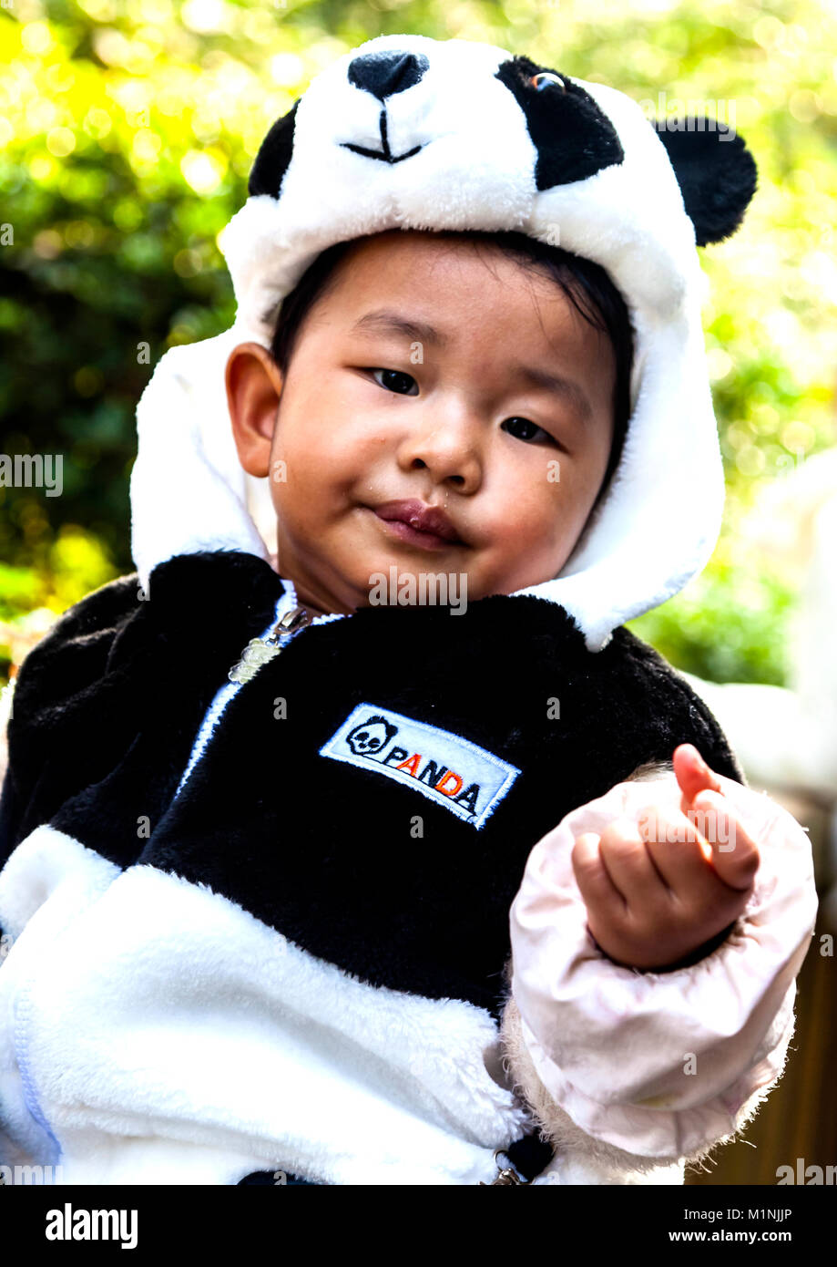 Chinese boy in Panda suit bought at the Chengdu Research Base of Giant Panda Breeding in China Stock Photo