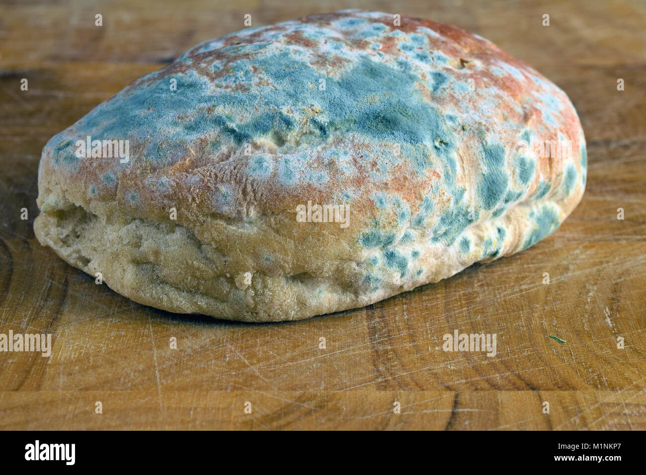 Mold on bread. Best before date has expired a long time ago with this moldy food. Space for text. Stock Photo