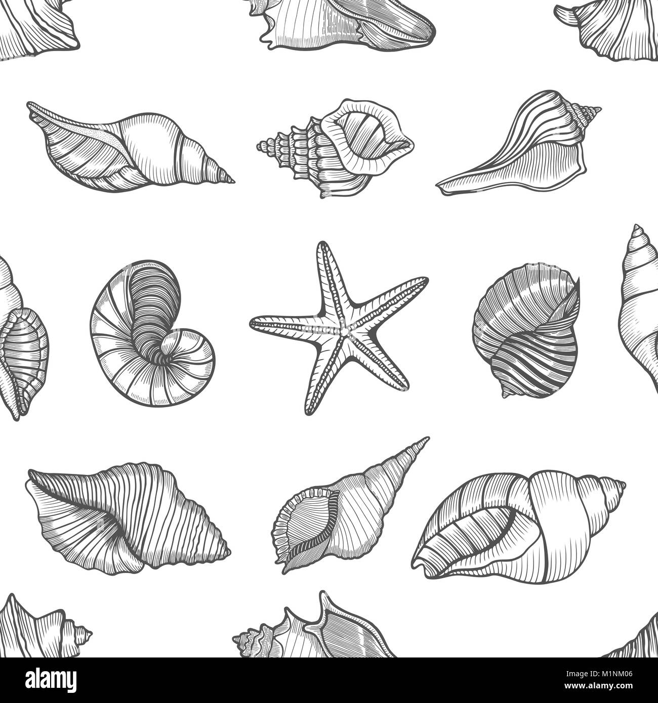 Hand drawn seamless pattern with sea shell in pastel colors. Vintage ...