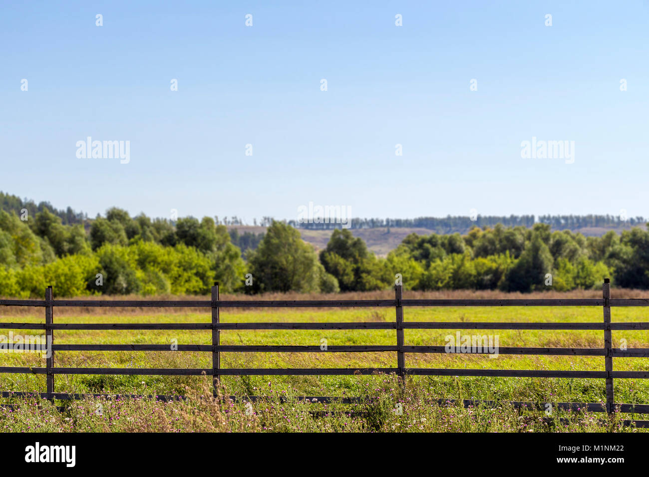 Rustic wooden fence against the background of a green field and trees ...