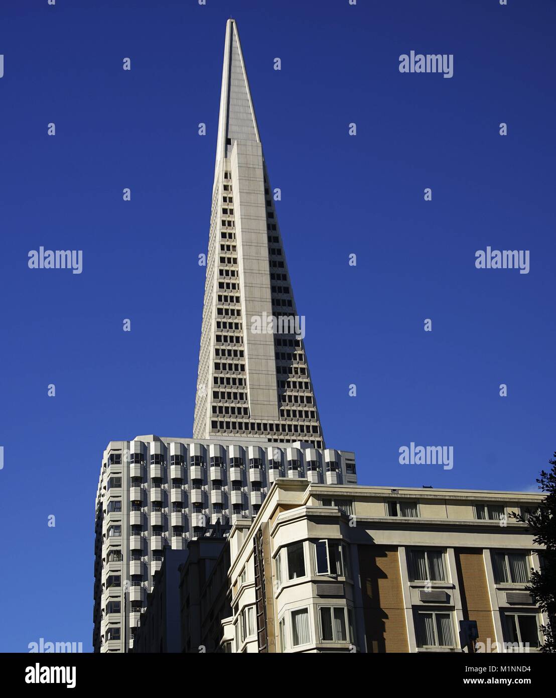 260 meters high is the office tower Transamerica Pyramid. He is a
