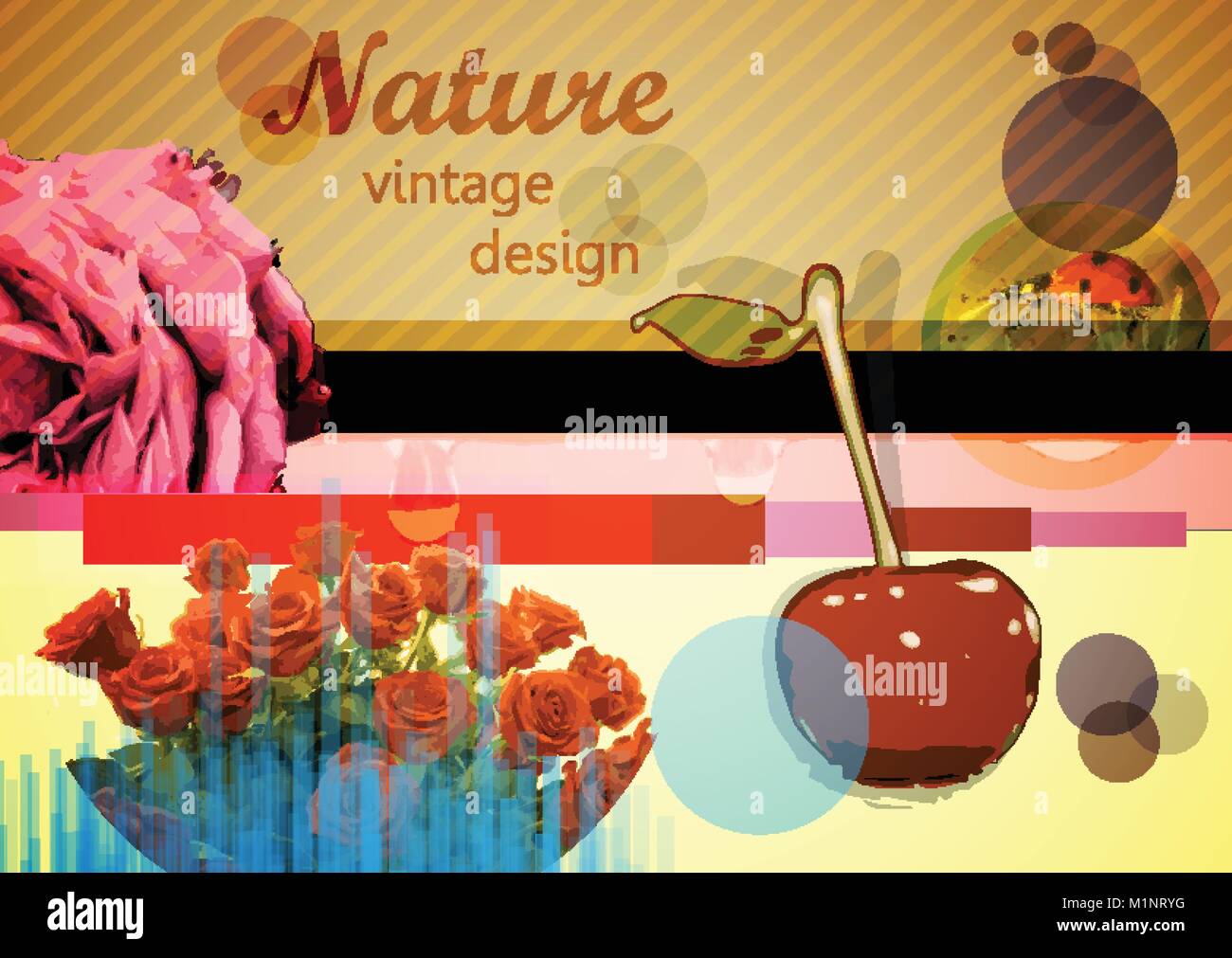 Mixed design elements, vector Stock Vector Image & Art Alamy