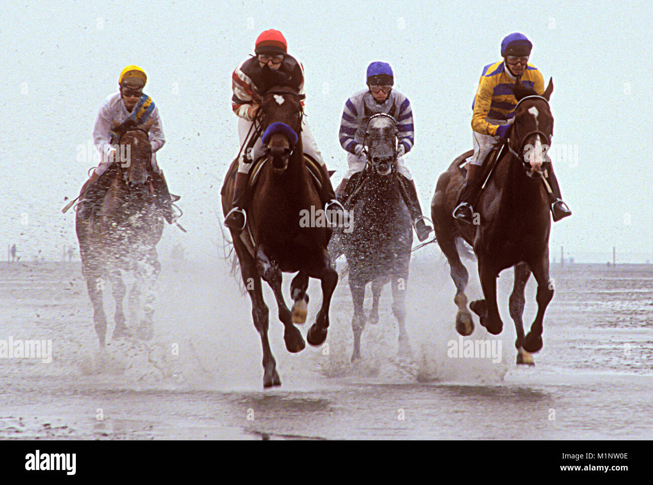 Germany, Lower Saxony, the horse race at the tidal shallows in Duhnen near Cuxhaven.  Deutschland, Niedersachsen, das Duhner Wattrennen bei Cuxhaven. Stock Photo