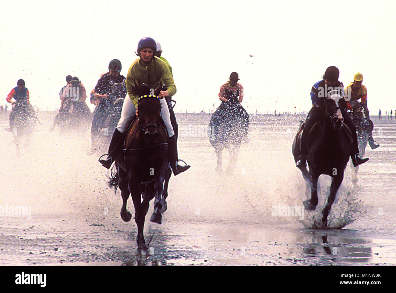 Germany, Lower Saxony, the horse race at the tidal shallows in Duhnen near Cuxhaven.  Deutschland, Niedersachsen, das Duhner Wattrennen bei Cuxhaven. Stock Photo