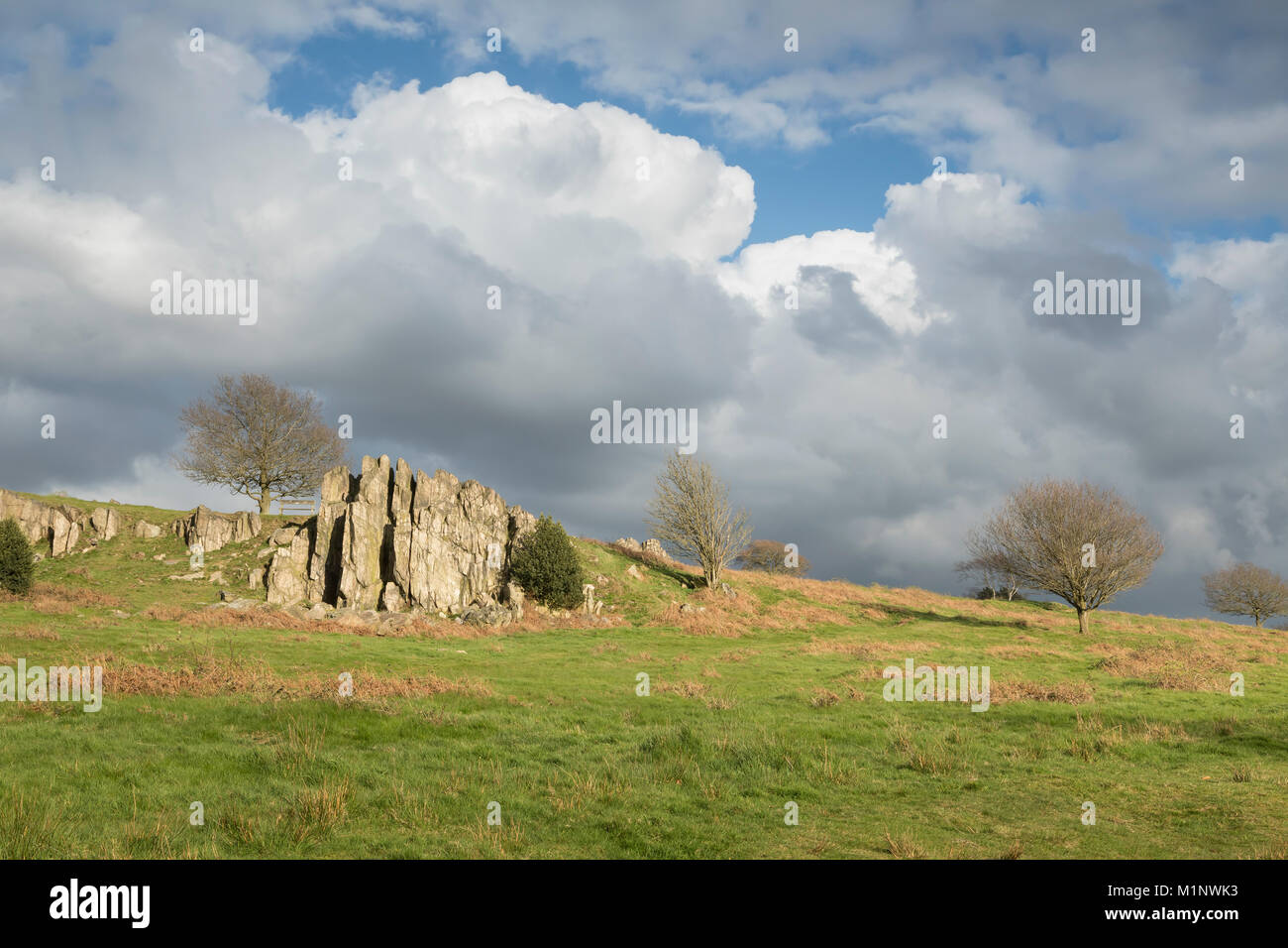 An image of an outcrop of rocks in evening sunshine shot at Beacon Hill, Leicestershire, England, UK Stock Photo