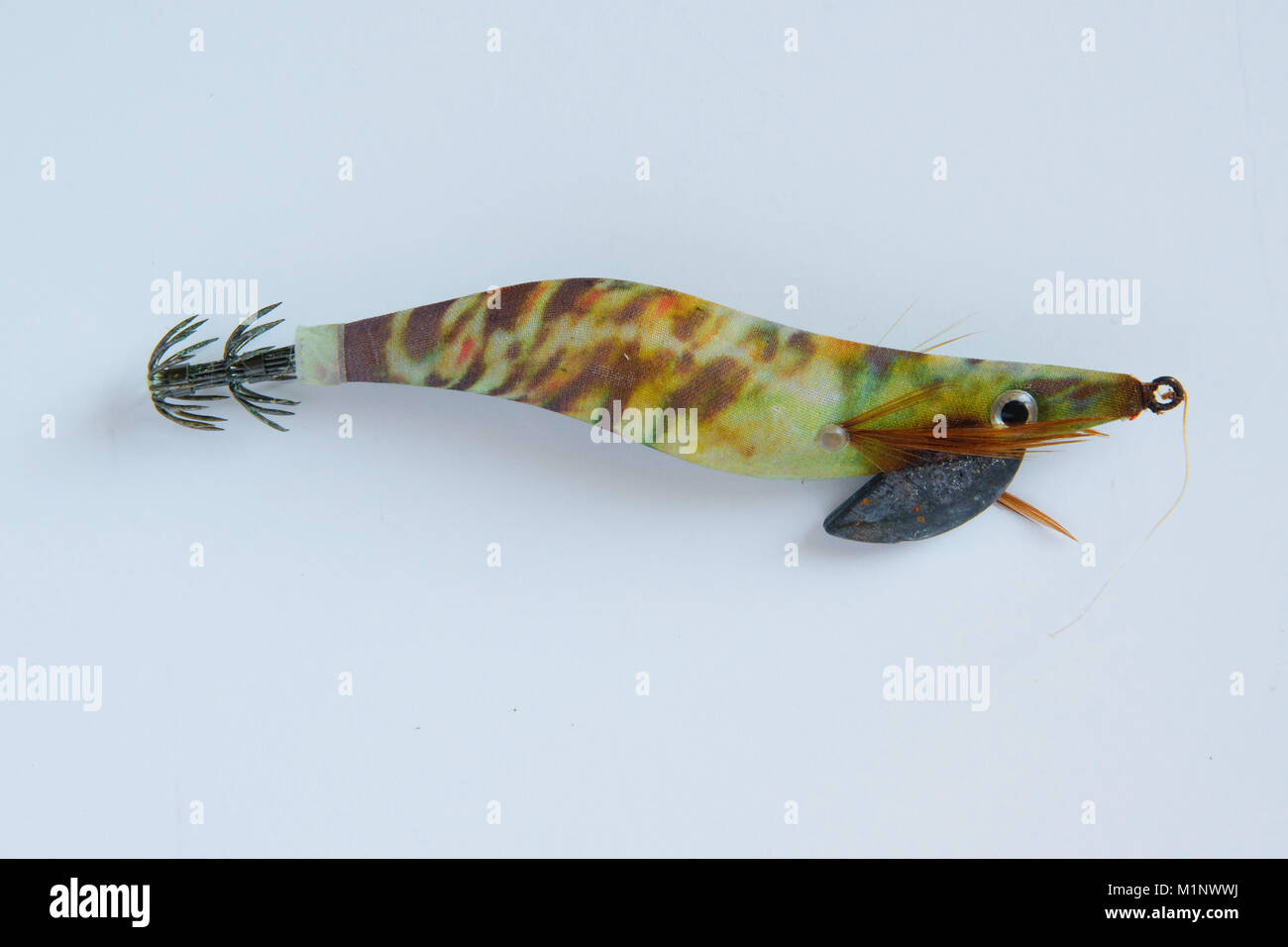 A Snakehead Fish Is Caught With A Fake Bait Stock Photo - Download