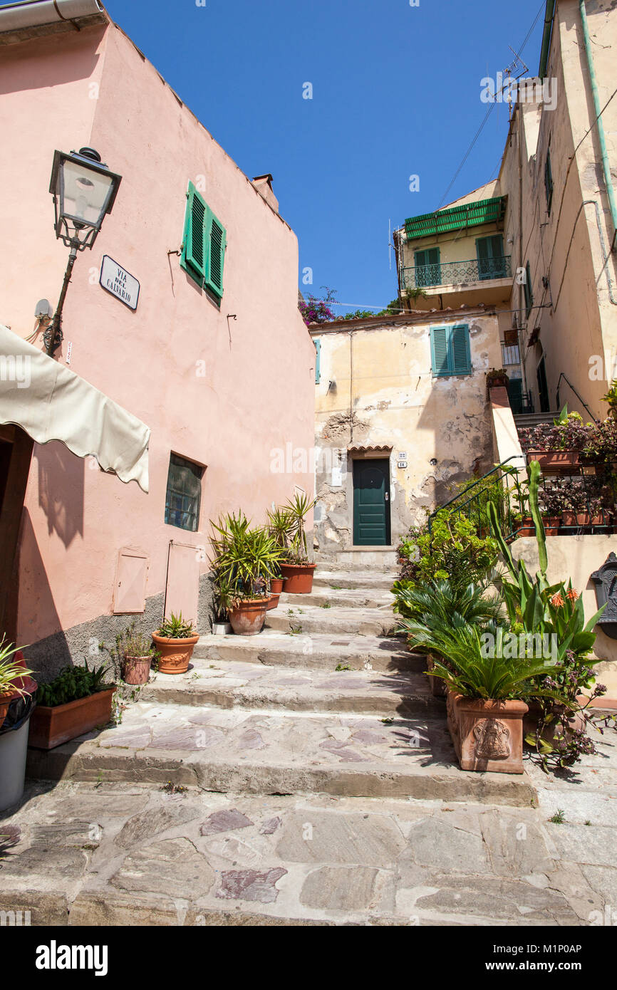 Porto alley hi-res stock photography and images - Page 6 - Alamy, image size:866x1390