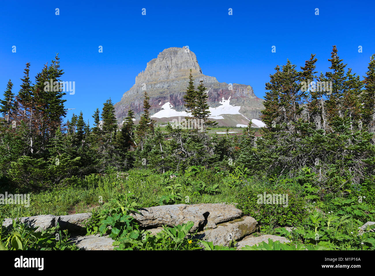 Glacier National Park alpine mountain landscape scenery of Logan Pass Stock Photo