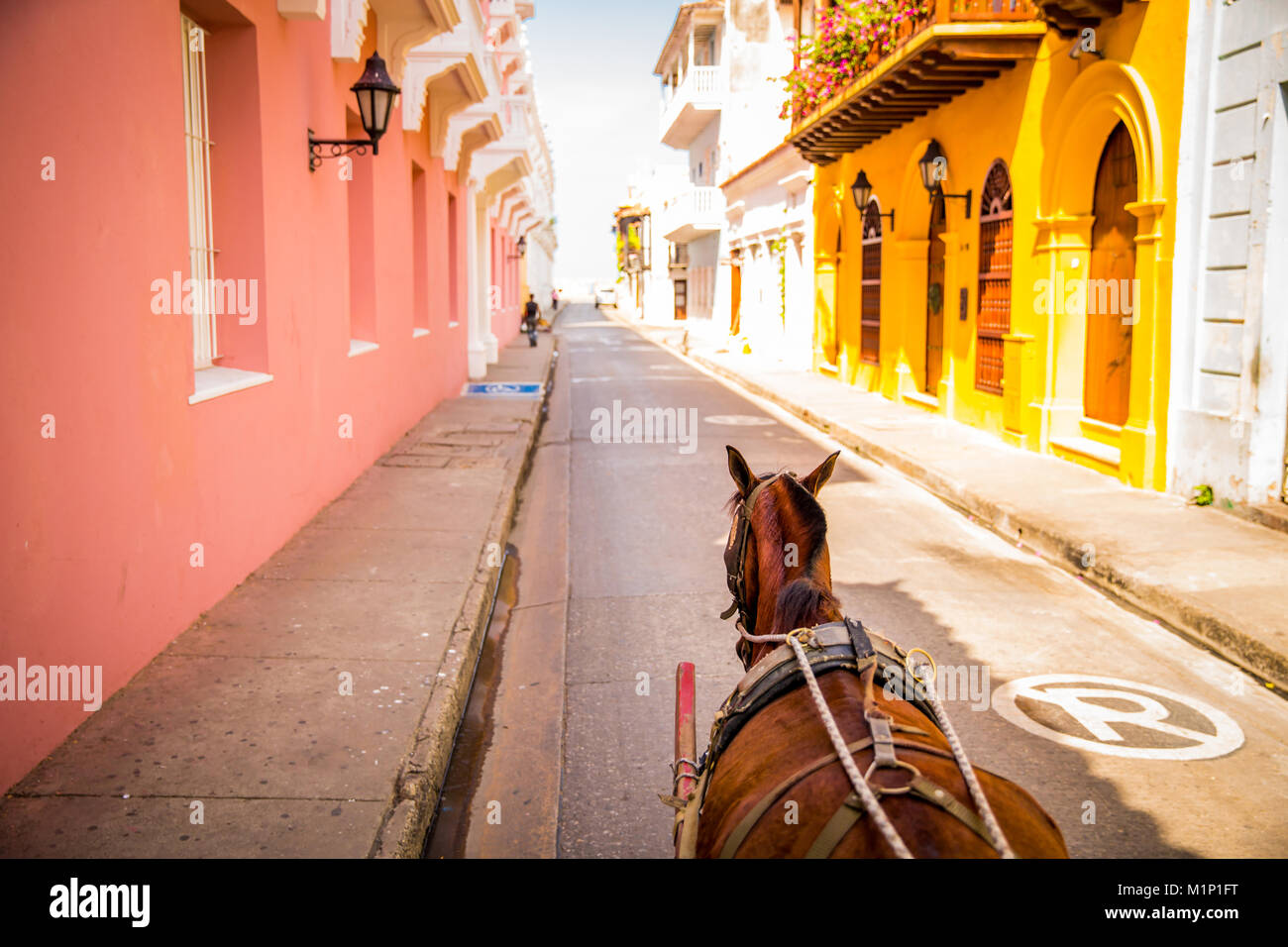 Old Town, Cartegena, Colombia, South America Stock Photo