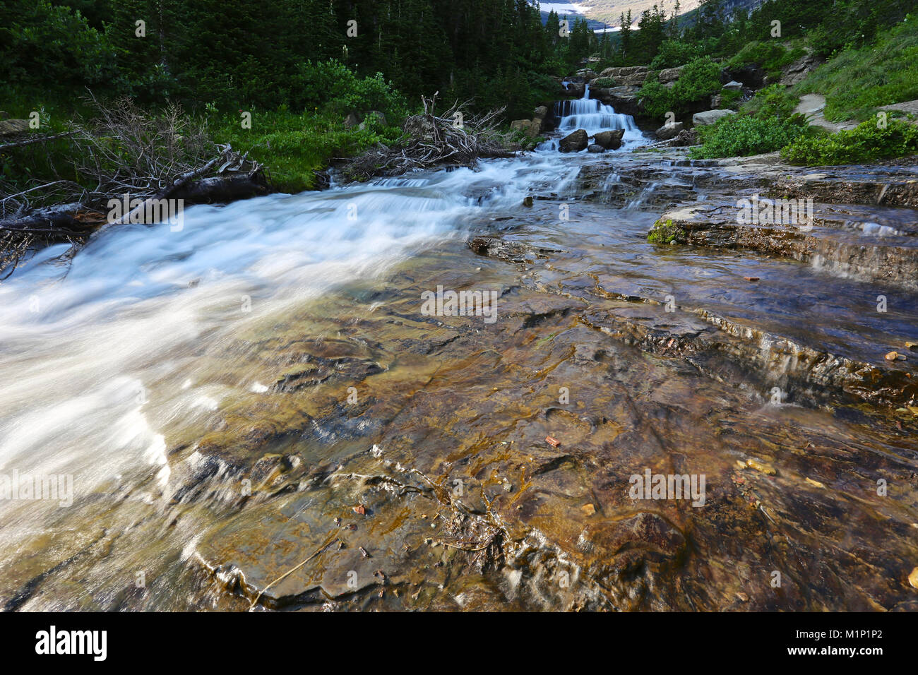 Beautiful alpine waterfall stream cascade in Glacier National Park, Montana Stock Photo