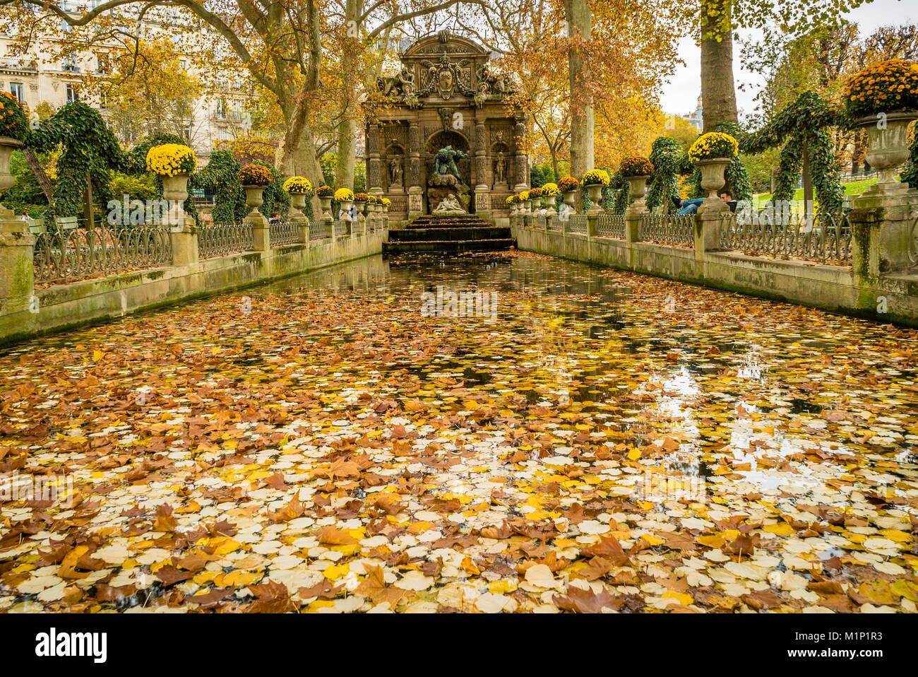 Medici Fountain In Jardin Du Luxembourg In France In Autumn Covered medici-fountain-in-jardin-du-luxembourg-in-france-in-autumn-covered