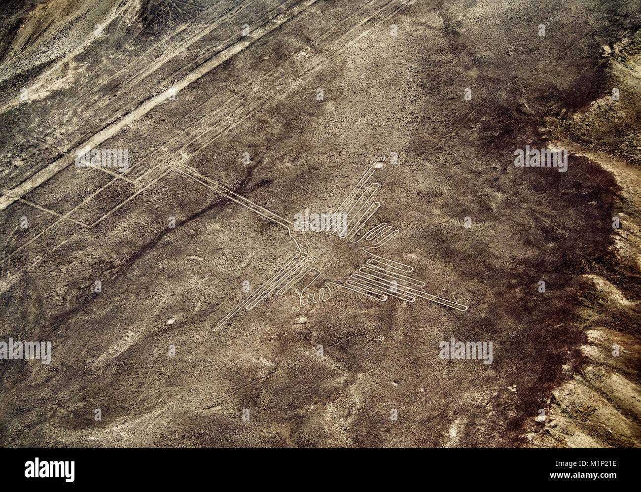 The Humming Bird Geoglyph, aerial view, Nazca, UNESCO World Heritage Site, Ica Region, Peru, South America Stock Photo