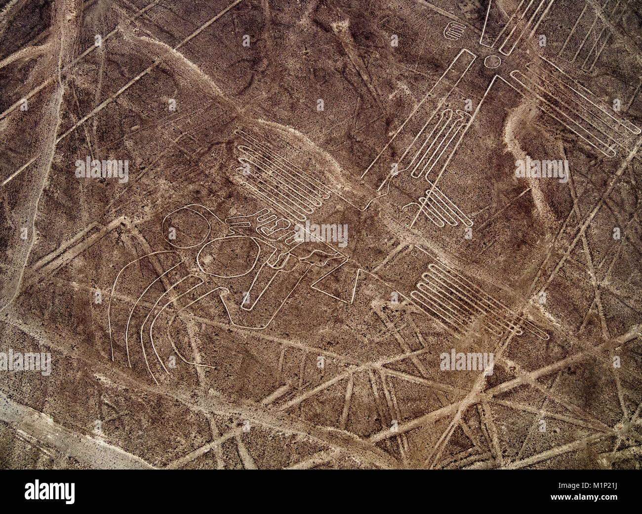 The Bird Geoglyph, aerial view, Nazca, UNESCO World Heritage Site, Ica Region, Peru, South America Stock Photo