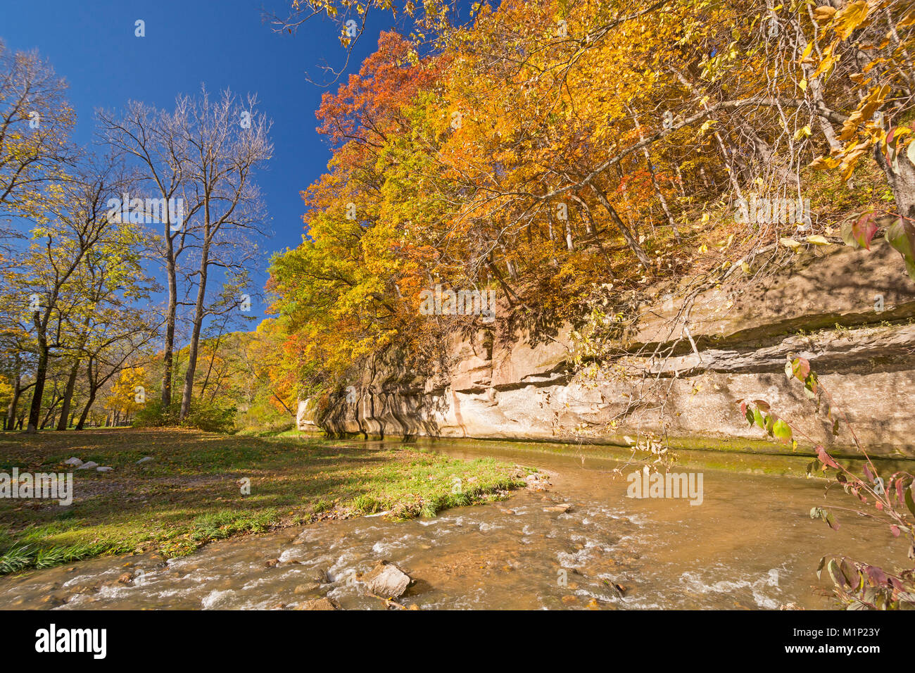 Fall Colors and Limestone Cliff on Peas Creek in Ledges State Park in