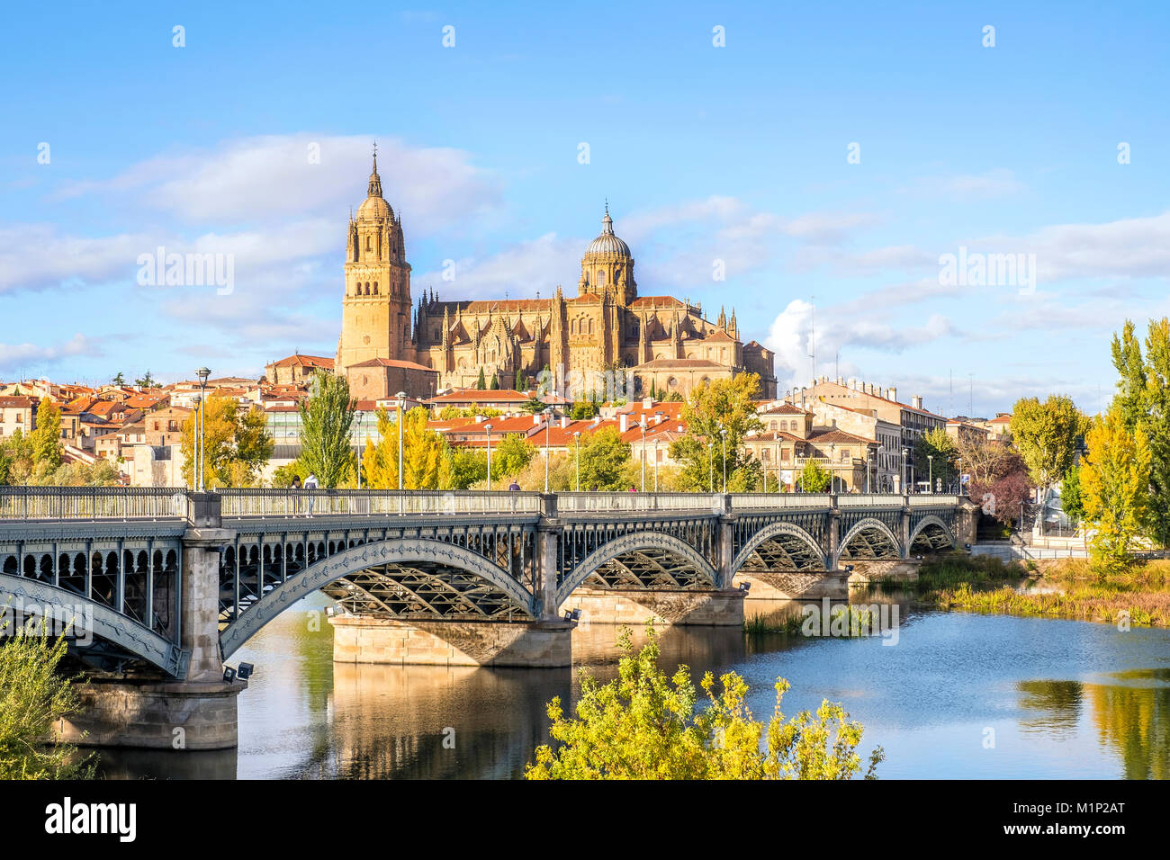 Cathedral,bridge over Tormes river,Salamanca,Castile and Leon,Spain Stock Photo