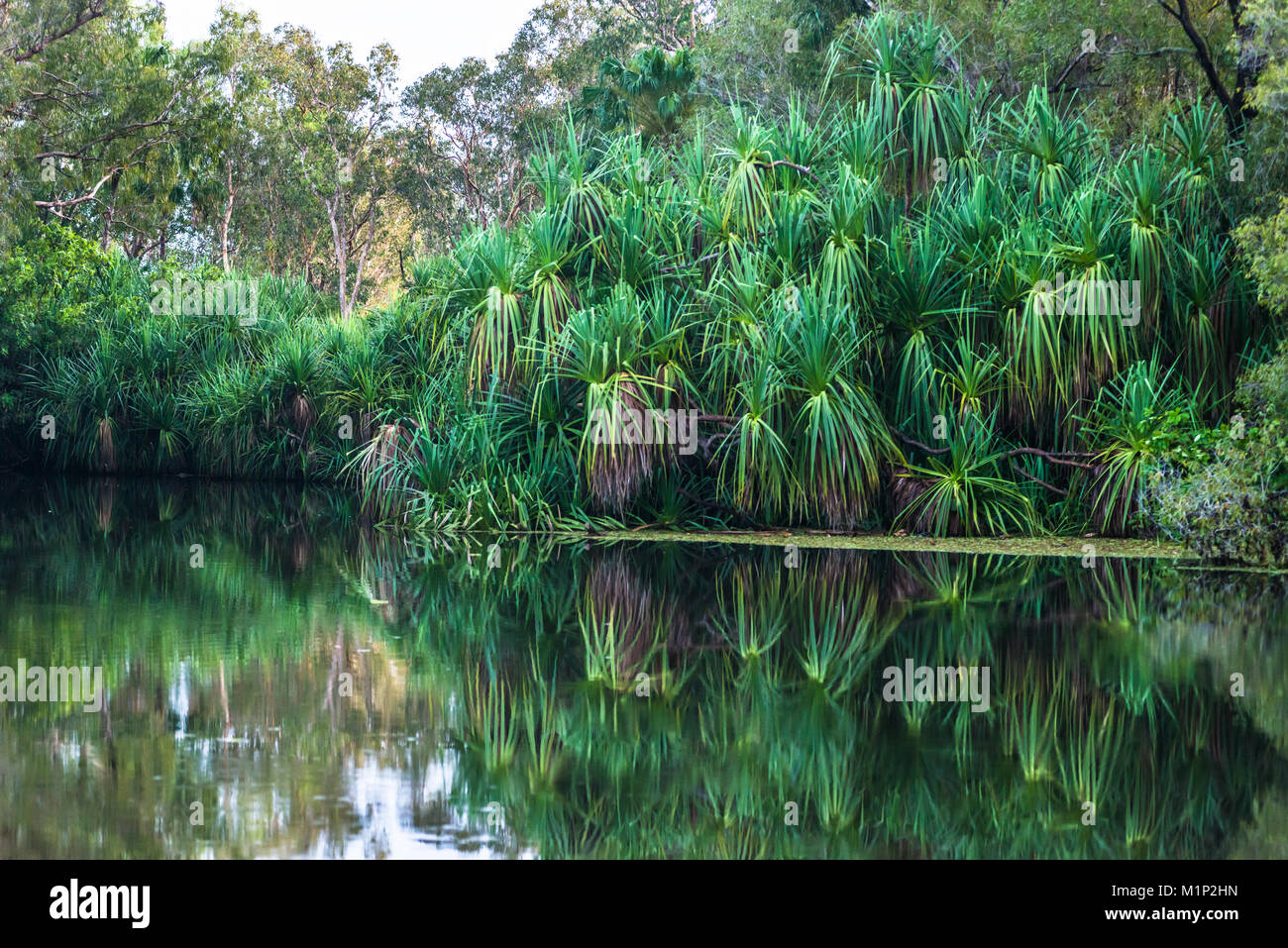 Yellow Water billabong and wetland, Kakadu National Park, UNESCO World ...